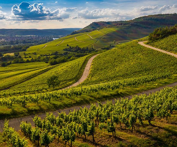 Wine-Country-Trails-California