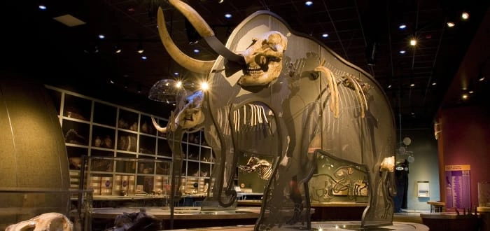 Western Science Center